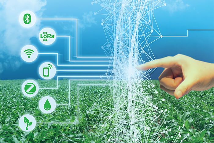 Weighing wireless options