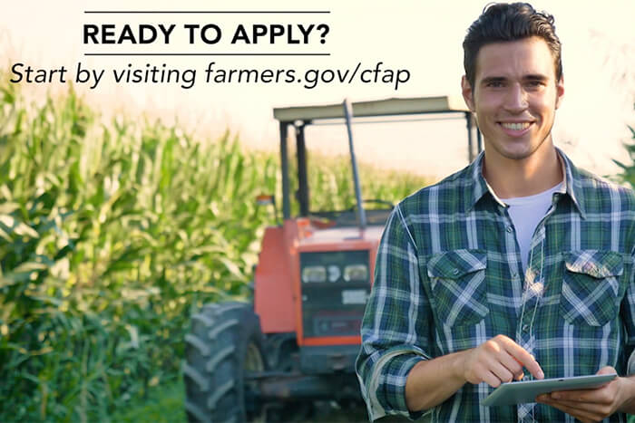 Continuing priorities – Agricultural innovation  & coronavirus relief