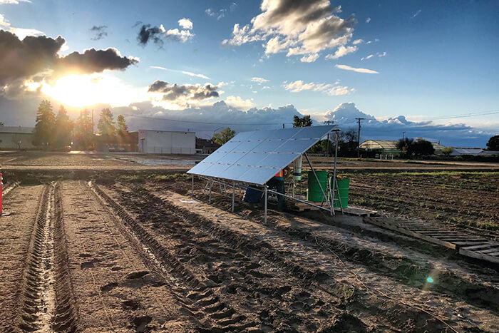 New technology offers on-farm nitrogen management